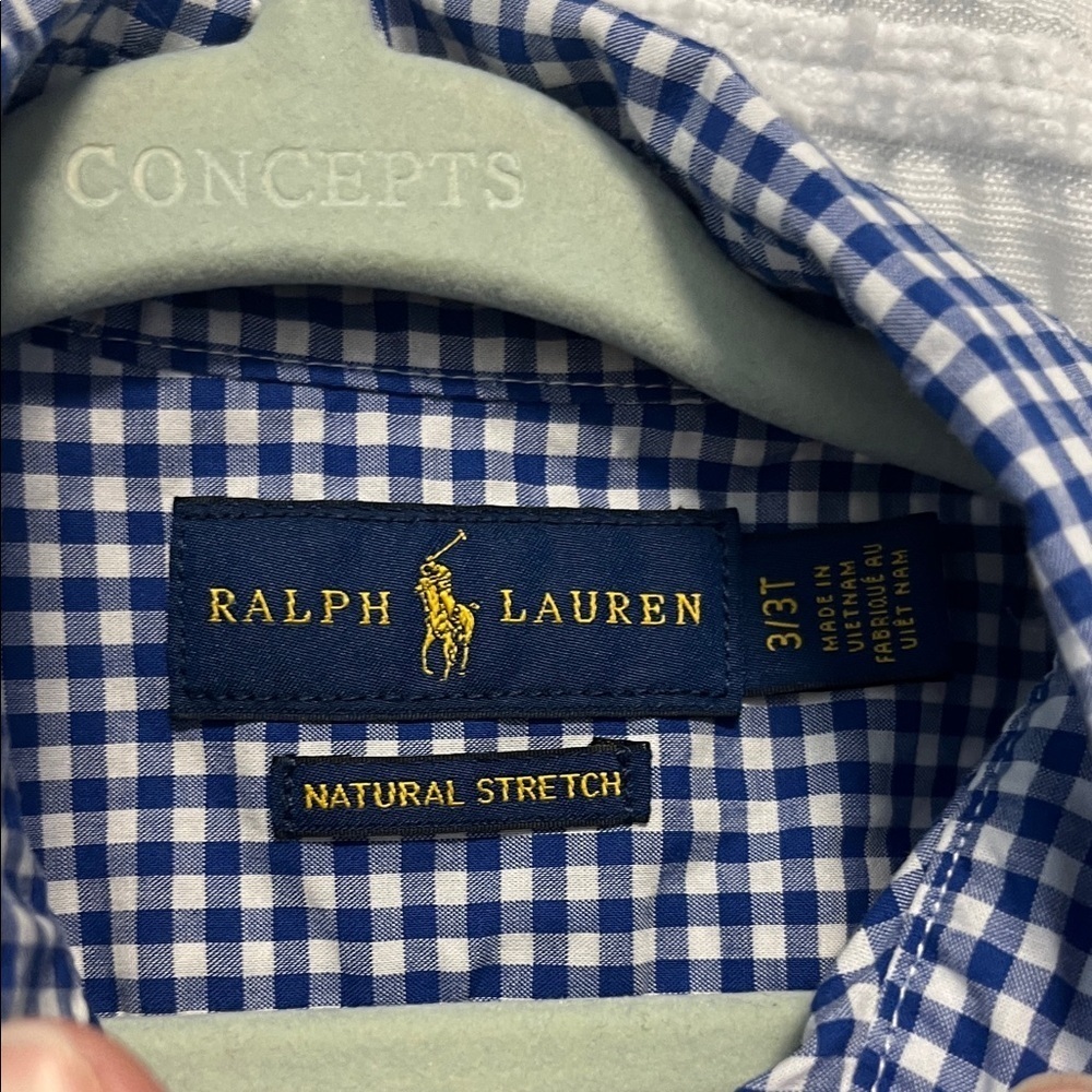 Polo by Ralph Lauren Boys 3T Blue and White Gingham Button Down Shirt - Picture 2 of 4